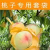 Bolsas especiales para fruta para protección de frutas, bolsas para duraznos, durazno de invierno, durazno plano, durazno amarillo, a prueba de insectos, transpirables, impermeables, venta al por mayor