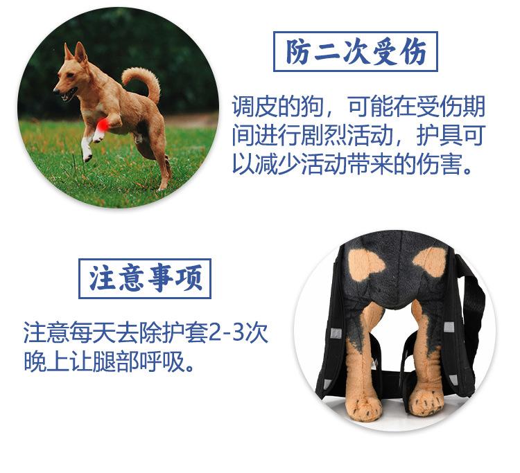 图层 10.jpg