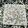 Diamantes Coloridos para Nail Art de Fundo Plano, Diamantes de Formato Especial, Estrelas de Cinco Pontas, Gotas d'Água, Corações de Pêssego, Lantejoulas para Unhas, Adesivos de Joias para Nail Art DIY
