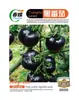 Semillas de Tomate Negro, Semillas de Tomate Arándano, Siembra Cuatro Estaciones, Tomates Cherry de Maceta, Jardín de Balcón, Semillas de Tomate Perla Negra