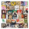 60 peças orelha de volta expressão facial literária bolsa adesivos engraçados laptop caderno copo de água adesivos decorativos à prova d'água