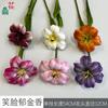 Tulipa Sorridente Narcisos Decoração de Casa Sala de Estar Interna Flor de Seda Beleza Comercial Chen Decoração de Fotografia Flor Artificial