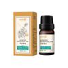 Processamento de Óleo Essencial de Folha de Platycladus Caneca Personalizada Composto de Óleo Essencial de Artemísia Gengibre 10ml Salão de Beleza Óleo Essencial para Massagem Fabricante Atacado