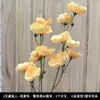 Buquê amarelo multi-cabeça longo ramo rosa peônia hortênsia amarelo claro casamento estrada de casamento fundo de chumbo flor falsa flor de seda