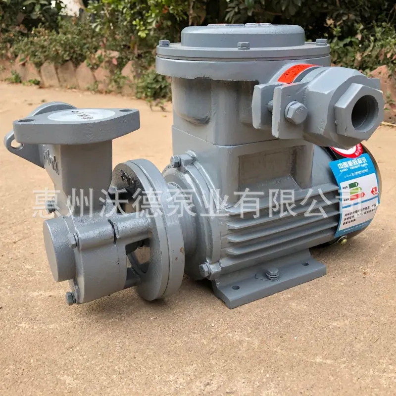WM防爆泵1