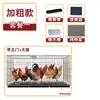 Jaula para Pollos Jaula para Pollos Casera Grande Envío Gratis Jaula Casera Jaula Automática de Rollo de Huevo Gallinas Ponedoras
