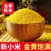 Painço Amarelo, uma Especialidade do Nordeste da China, Nova Safra de Grãos Grossos Painço Amarelo para Uso em Mingau Pós-Parto com Farelo de Arroz