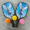 Raquete de Pickleball Sm001-1 de Fibra de Vidro Conjunto de Esportes ao Ar Livre para Crianças e Adultos