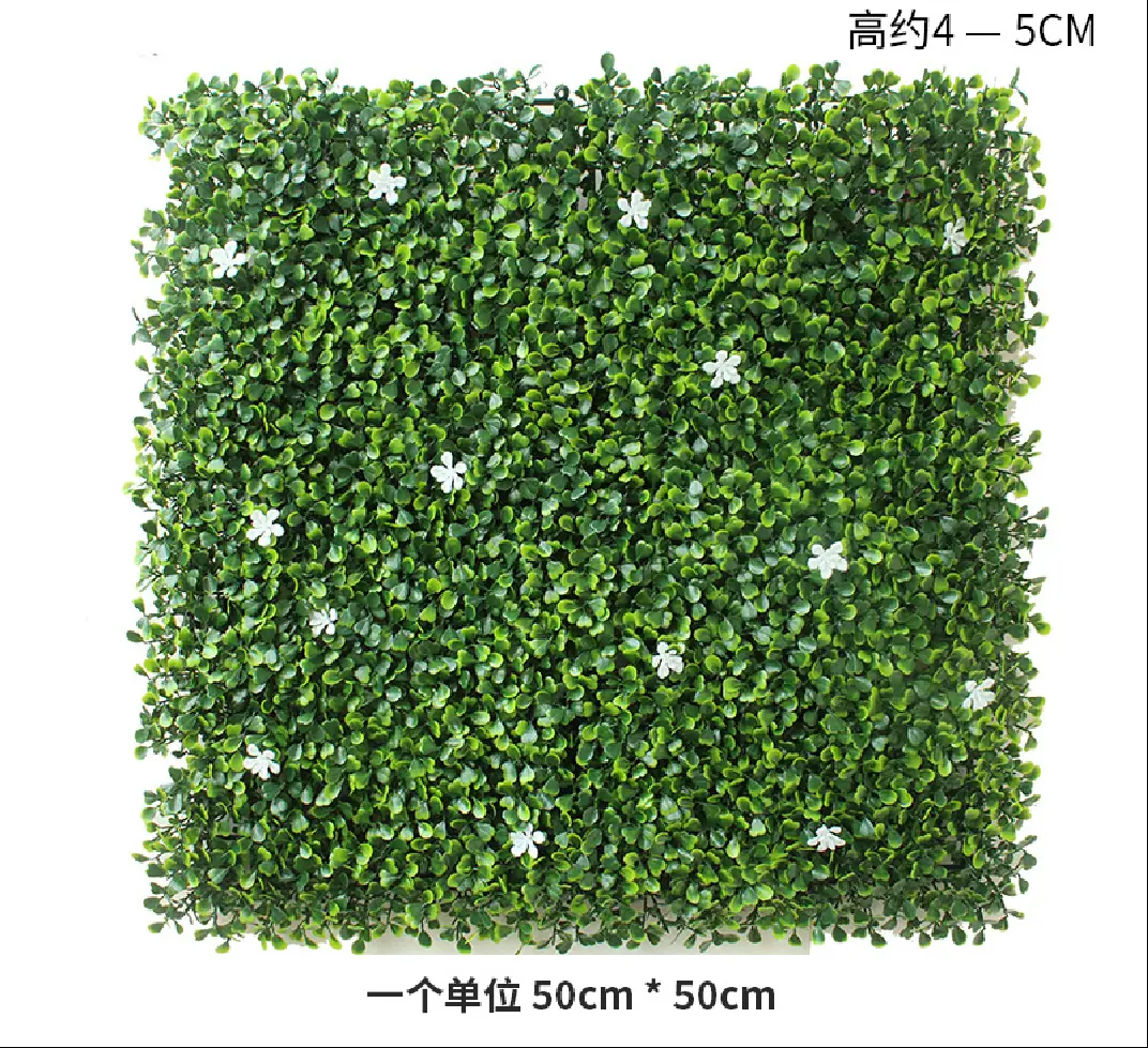白花米兰
