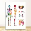Escritório de Educação Médica Tela Pintura em Tela de Anatomia Humana Músculo Pintura Artística Pintura Aquarela Personagem Pintura Decorativa Núcleo