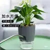 Recipientes Hidropónicos, Macetas para Flores Perezosas Auto-Absorbentes Extra Grandes, Macetas para Flores Auto-Absorbentes de Agua, Macetas Hidropónicas para Potos y Anturios, Macetas Decorativas de Interior