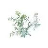 Cachos de Folhas Artificiais, Flores Artificiais Individuais com Folhas, Decoração de Paisagem para Cenas Comerciais, Materiais para Guirlandas de Teto e Molduras de Porta