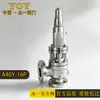 Válvula de Seguridad Yongyi A40Y/H-16C con Radiador Cerrada Válvula de Seguridad de Elevación Completa Válvula de Alivio de Presión para Aceite de Transferencia de Calor a Alta Temperatura