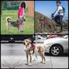Arnés Transfronterizo para Perro, Correa para Perro, Cuerda de Tracción, Arnés Retráctil Ajustable para Perros Medianos y Grandes, Arnés para Perros Pequeños