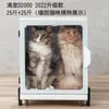 Secador de perro perro grande limpieza tienda de mascotas caja doméstica automática gato mascota tienda de belleza para mascotas secado