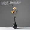 Ramos de flores secas, adornos decorativos de flores reales, flores de loto secas, capullos de loto, raíces de loto naturales, arreglos florales inspirados en Zen, decoraciones para sala de estar chinas.