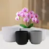 Vaso de Flor de Melamina para Uso Doméstico, Design Simples Criativo Estilo Europeu, Adequado para Varanda e Sala de Estar, Vaso Especial para Orquídeas Phalaenopsis, Vaso para Plantas Verdes, Vaso de Flor Anti-Cerâmica