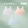 Ropa interior de material ligero para niñas en período de desarrollo, edades 8-14, Niños de primaria, Camisola de primera etapa para niñas
