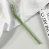 Canudo de Vidro Borossilicato Curvo para Suco e Leite, Não Gruda Batom, Universal para Quente e Frio, Canudo Embalado Individualmente