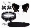 Conjunto Sexy de Três Peças, Plug Anal, Brinquedos Sexuais Masculinos e Femininos, Conjunto Sexual de Metal Sm, Cauda de Raposa