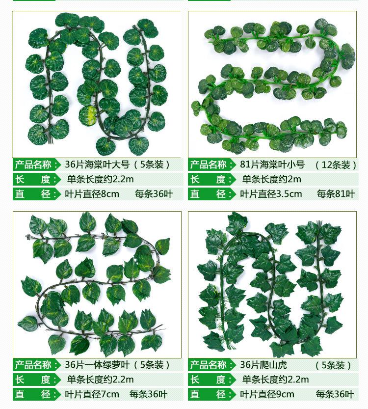 阿里葡萄叶_08