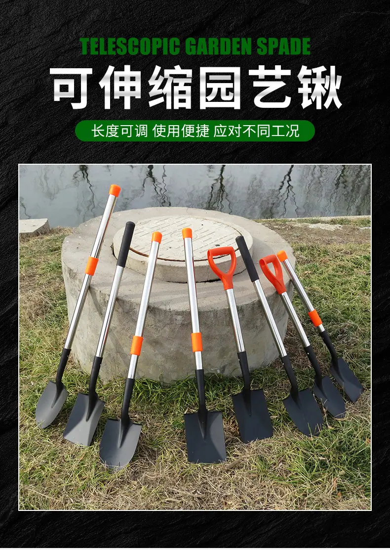 详情_01.jpg