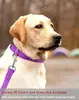 Coleiras para Pets em Estoque Transfronteiriças, Coleiras para Cachorros, Coleiras Refletivas para Gatos, Coleira Ajustável Anti-Estrangulamento Anti-Estouro da Amazon