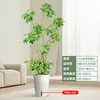 Forma Pie de Pato Madera Sala de Estar Maceta Grande Planta Verde Interior Sala de Estar Grande de Pie Flor Real Pila Vieja Pie de Pato Madera