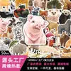 50 Adesivos de Animais Realistas Fofos para Porta-Malas de Carro, Capas de Celular, Decoração de Papelaria, Adesivos Culturais e Criativos Transfronteiriços Atacado
