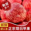 [Listras de Neve Leve] Maçã Autêntica de Yantai Qixia Red Fuji Crocante Doce Fruta Fresca Caixa Fechada Enviada Diretamente da Origem