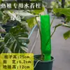 Pilar de musgo Sphagnum para pared, nuevo modelo 2026 para plantas tropicales, pilar de soporte para planta trepadora Monstera, se puede empalmar y extender para ajustar el tamaño