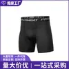 Pantalones Cortos Deportivos de Fitness para Hombre de Comercio Exterior, Mallas de Secado Rápido, Ropa de Entrenamiento de Baloncesto y Fitness, Elásticos y Transpirables para Entrenamiento de Atletismo