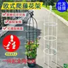 Suporte de Flores, Treliça para Plantas Trepadeiras, Suporte para Flores Clematis e Rosas, Suporte para Plantas Trepadeiras em Vasos, Haste de Suporte para Tartarugas em Ambientes Internos