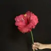 Amaryllis Artificial Borracha Macia Cabeça Única Pequena Clívia Decoração de Casa Flor Flor Falsa Ornamento para Fotografia de Casamento