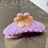 Clip de Flor de Ácido Acético Nuevo Arlan Clip de Tiburón con Resorte Primavera y Verano Accesorios para el Cabello de Moda Fresca para Mujer