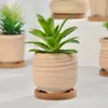 Línea Mini de Empaque para Pedidos por Correo Exportación Rayas Quemadas Lisas Maceta Pequeña de Porcelana Blanca Flor Carnosa con Base de Bambú