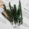 Pacote de Material DIY Feito à Mão Pequeno Buquê Flores Preservadas Flores Secas Decoração de Sala de Estar Ornamento Adereços de Casamento Lembrança para Fotos