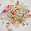Acessórios para Nail Art Estrela do Mar Aurora Estilo Japonês Cristal de Açúcar Estrela de Cinco Pontas Decorações de Unha Usáveis Peças de Acessório DIY Feito à Mão