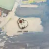 Botones de Animales Lindos de Dibujos Animados en Forma de Panda, Rana y Capibara para Decoración de Ropa Infantil, Calcetines y Gorros