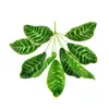 Planta Verde de Simulación 9 Cabezas Cambiante de Color Sensación de Pegado con Madera Banyan Dorado Planta de Interior para Sala de Estar Pared de Plantas Decoración de Paisaje