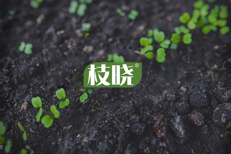 澳莉嘉详情页-塑料打洞器（无水印）_01.jpg