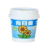 Plantas en Maceta Pequeñas Creativas para Niños para Plantar, Plantas Verdes Mini de Interior, Adornos de Escritorio, Caja de Observación del Crecimiento de Plantas con Flores