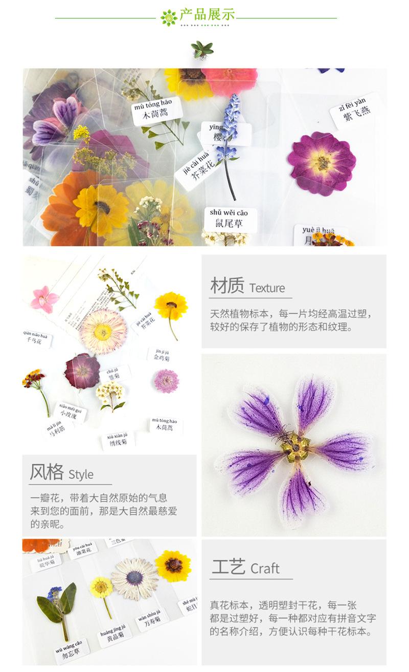 详情干花_13_副本.jpg