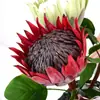 Tela de Seda Artificial de Nuevo Estilo, Flores Decorativas para el Hogar de Estilo Chino y Europeo con Colores Vibrantes, Gama Completa de Colores, Flores Grandes de Terciopelo