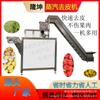 Peladora automática de frutas y verduras, gran máquina comercial para pelar uvas, melocotones amarillos, peladora multifunción de patatas y manzanas.