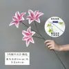 Flor de lirio simulada en 3D de tres cabezas, adecuada para arreglos florales caseros, decoraciones de bodas, paisajismo y como accesorio para sesiones de fotos de bodas.