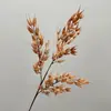 Planta artificial, tallo único de avena silvestre, decoración para el hogar para habitaciones modelo, sala de estar, mesa de comedor, mesa de centro, arreglo floral, fruto de avena