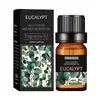 Aceite de Masaje de Aceite Vegetal de Fuente Local Aceite Esencial Suave e Hidratante Superventas Transfronterizo Aceite de Masaje Corporal 10ml