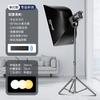 Luz suplementaria Rui Fu Tu de 120 W/200 W/300 W, luz suplementaria en vivo, fotografía, luz de fotografía siempre brillante, luz solar COB