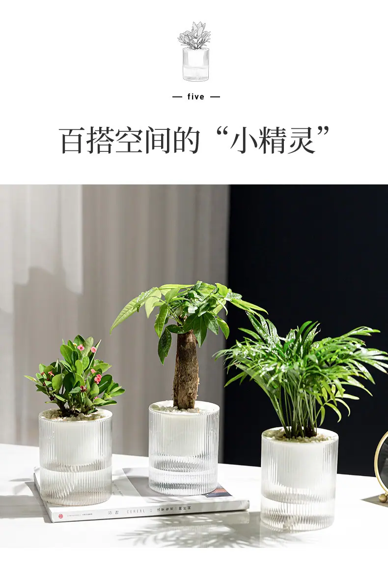 详情页_12.jpg